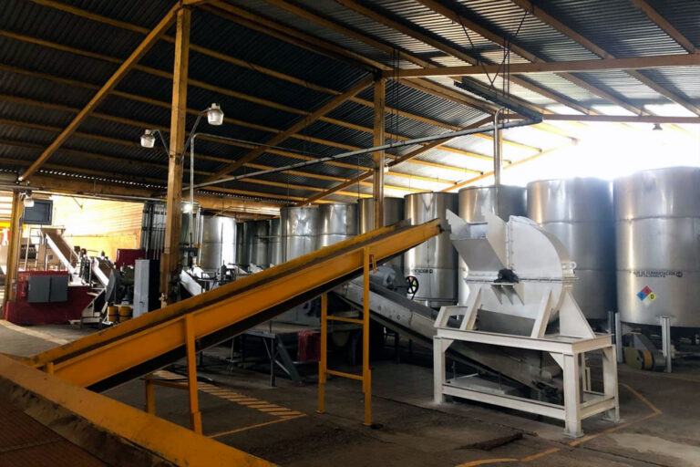 Proceso artesanal de tequila en los Altos de Jalisco