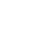logo 300