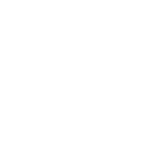 logo 300
